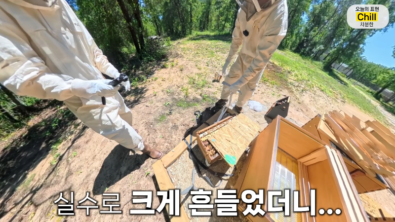 양봉 시작한 올리버쌤 근황.jpg | 인스티즈