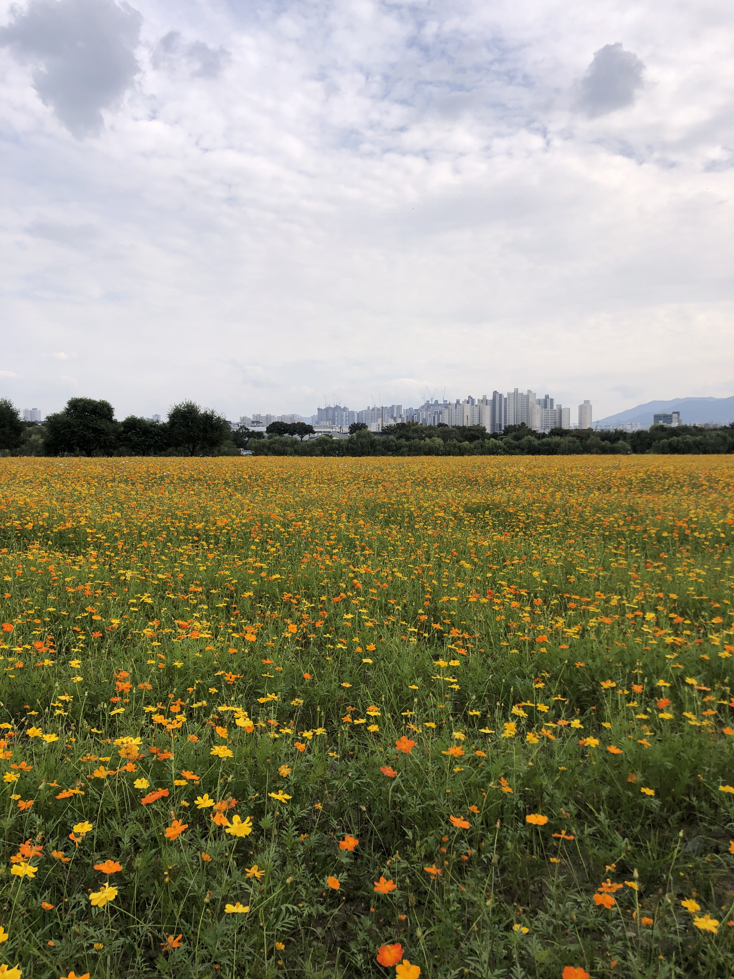 국내에도 멋있는 곳이 많아! 많관부..! 2탄 | 인스티즈