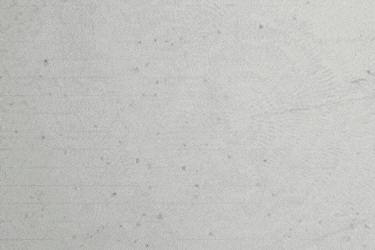 친구 컴퓨터에 깔아주기 좋은 거위.gif | 인스티즈