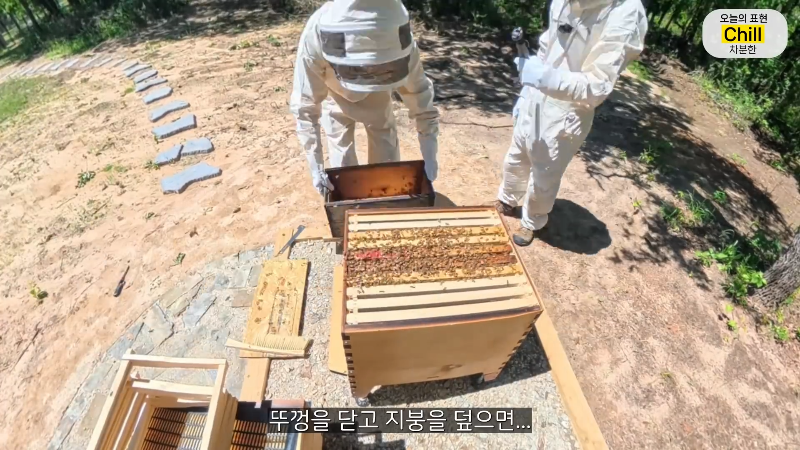 양봉 시작한 올리버쌤 근황.jpg | 인스티즈