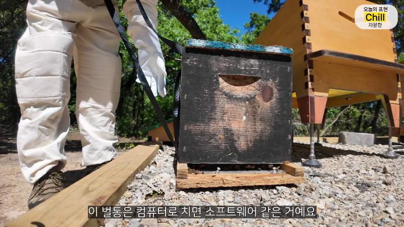 양봉 시작한 올리버쌤 근황.jpg | 인스티즈