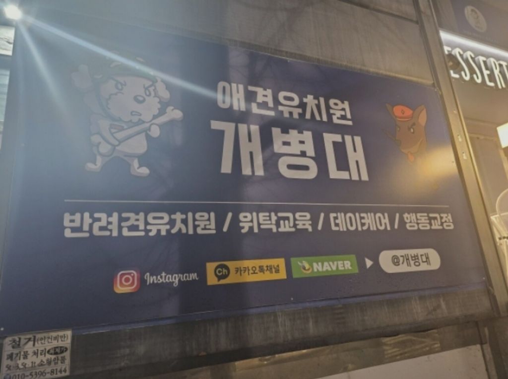 애견유치원 이름 | 인스티즈