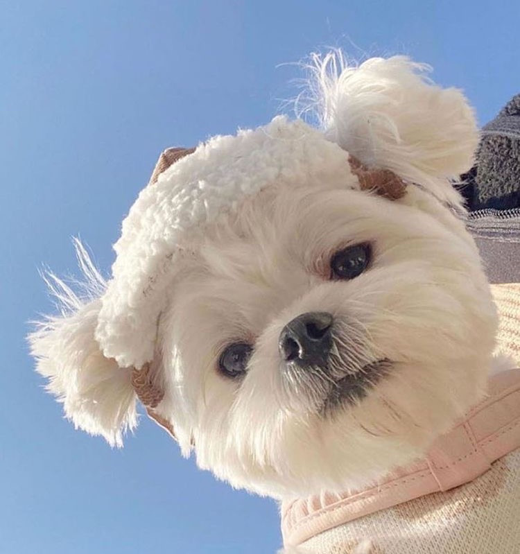 언니…….. | 인스티즈