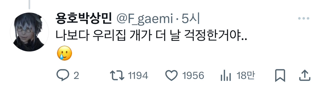 나 한창 힘들고우울해서 밥 거를 때.. 울집 강아지가 자꾸 노란 토를 매일 몇번씩 하는거임.twt | 인스티즈