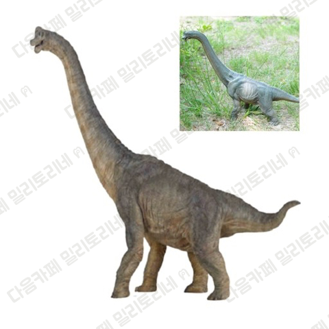 나 입사 초기 때 남대리남이 자기 공유 닮았다는 소리를 듣는다는거야 | 인스티즈