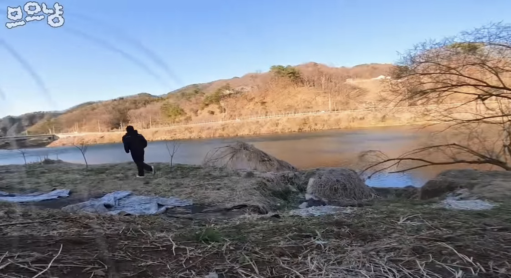 흙 덮다 집사 놓친 고양이 | 인스티즈