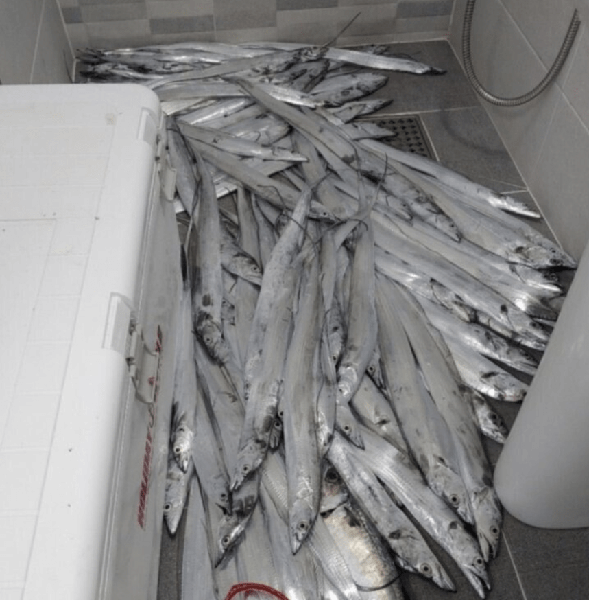 남자 취미 낚시가 이혼 사유인 이유 | 인스티즈