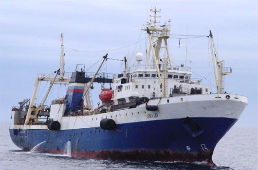 생선계의 화차 | 인스티즈