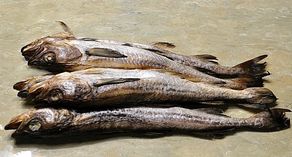 생선계의 화차 | 인스티즈