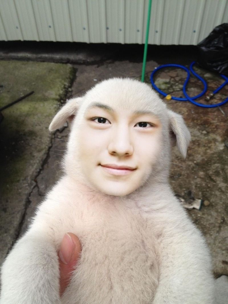 백구 김범 선생님 | 인스티즈