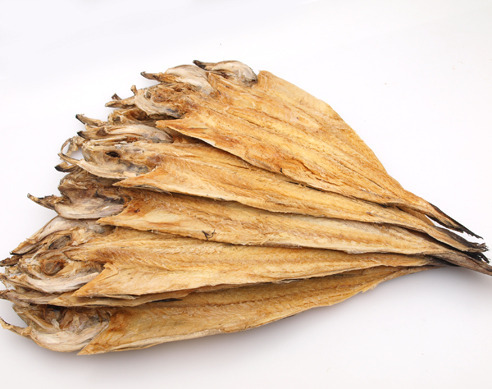 생선계의 화차 | 인스티즈