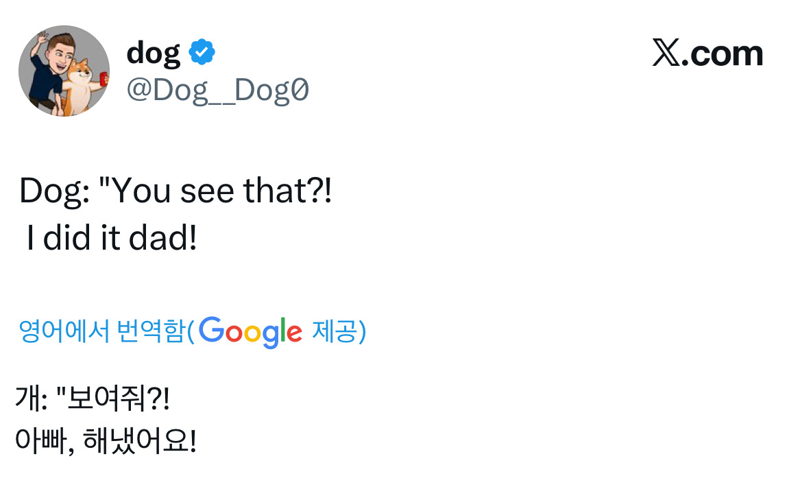 보더콜리의 일상 | 인스티즈