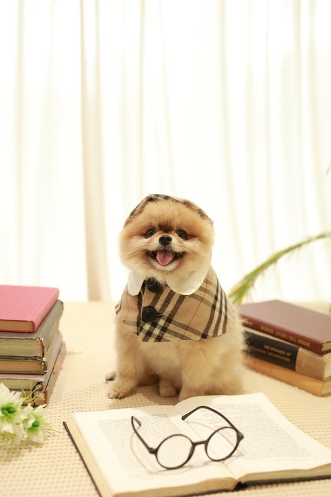 보고싶은 우리 맥주 | 인스티즈