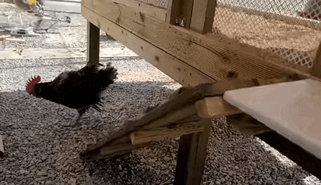 매맞는 삶을 살고 있는 매탈남 근황.jpgif | 인스티즈