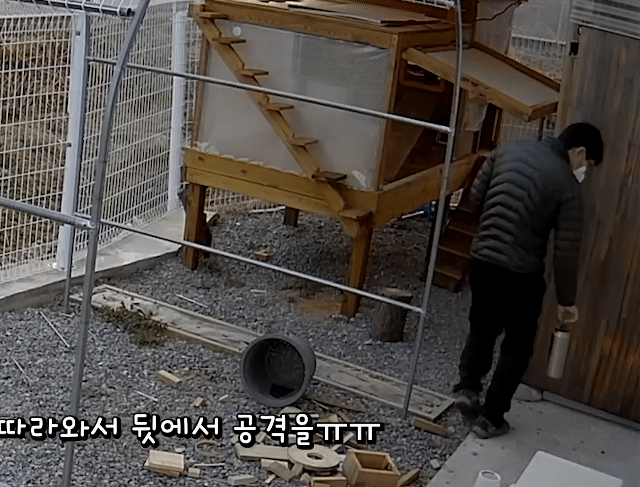 매맞는 삶을 살고 있는 매탈남 근황.jpgif | 인스티즈