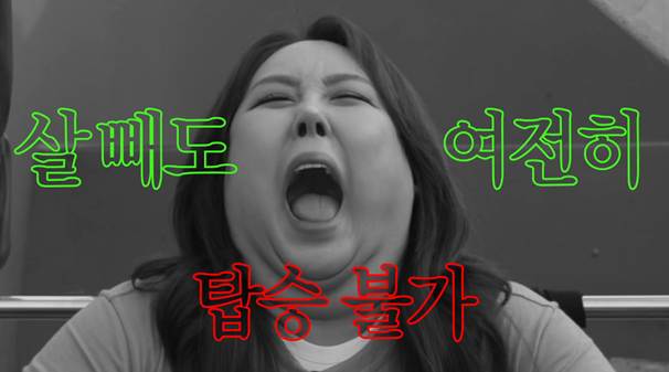 200kg 거구가 바이킹을 타면 생기는 문제.jpg | 인스티즈
