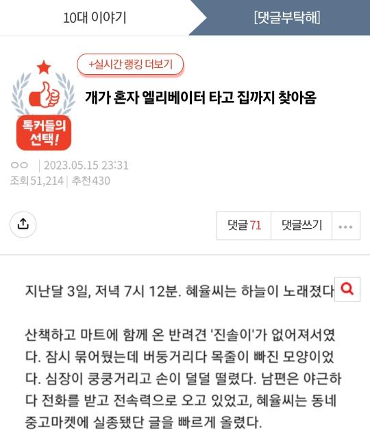 [네이트] 개가 혼자 엘리베이터 타고 집까지 찾아옴 | 인스티즈