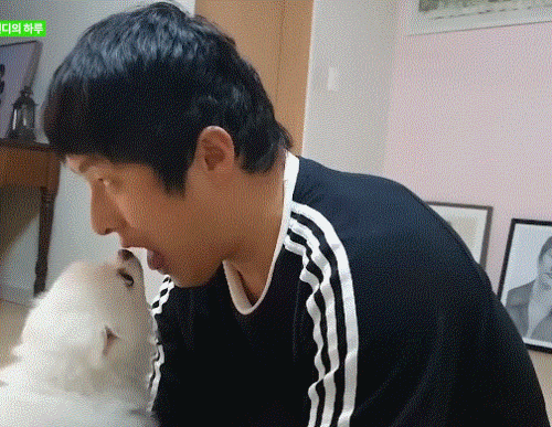 [잡담] 기안84 강아지한테 혀 내주는거봐 | 인스티즈