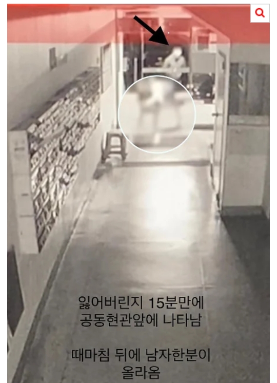 [네이트] 개가 혼자 엘리베이터 타고 집까지 찾아옴 | 인스티즈