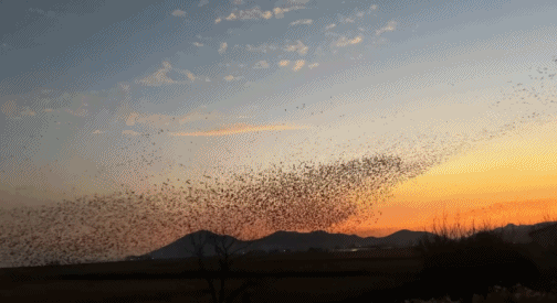 동숲의 축복이 내린 듯한 도시.jpg | 인스티즈