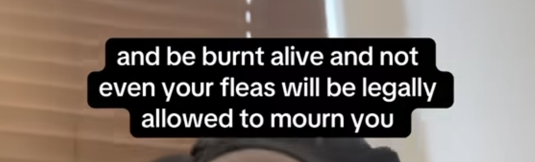 포틀럭파티에 가져오는 음식보고 중세식 판결내리는 사람있는데 웃김 | 인스티즈