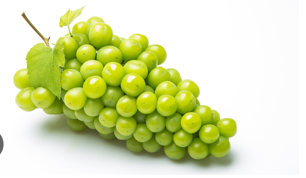 이름이 주는 효과는 정말 있을까? 이름만 보고 더 맛있을 것 같은 집 골라보는 글 | 인스티즈