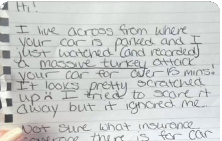 주차된 차가 긁혔는데 남겨진 쪽지가 황당하다 | 인스티즈