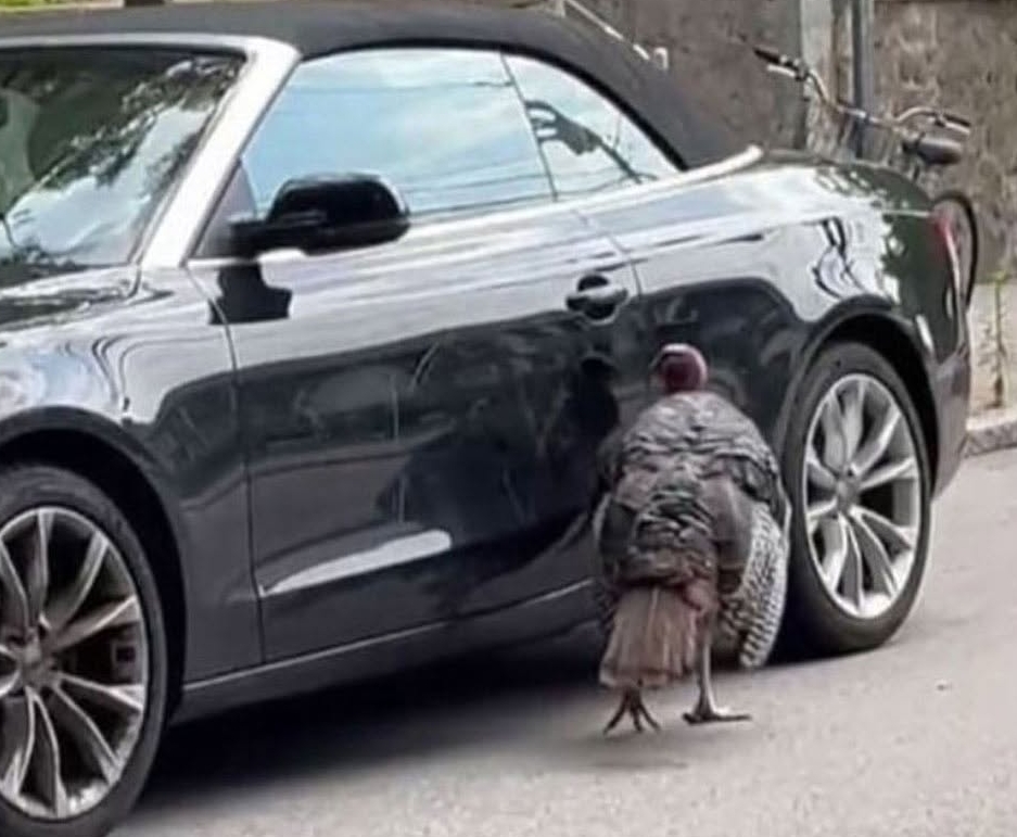 주차된 차가 긁혔는데 남겨진 쪽지가 황당하다 | 인스티즈