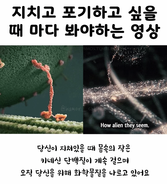 당신이 지치고 힘들어서 아무것도 못 하고 있을 때에도.gif | 인스티즈