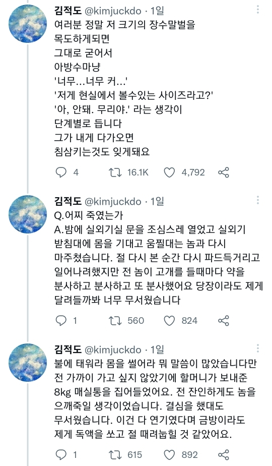 장수말벌 앞에서 아방수가 된 트위터리안 | 인스티즈