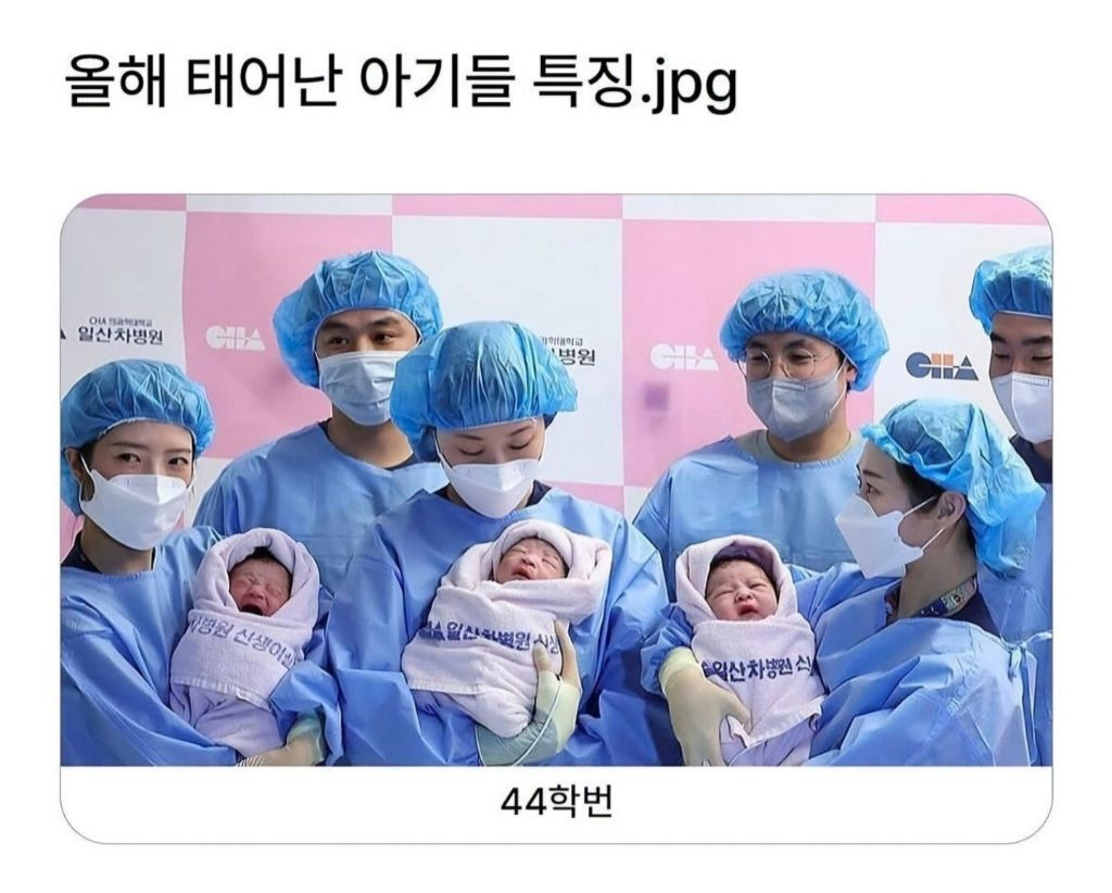 올해태어난애기특징 | 인스티즈