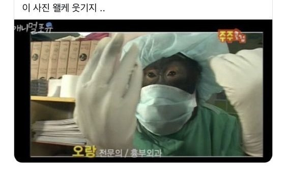 수술실로 써도 된다는 30년차 중국집 주방 위생 | 인스티즈