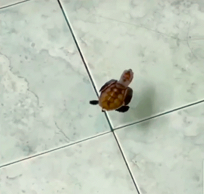 수영복 노출 너무 심한데 꼭 그거 입어야 돼? | 인스티즈