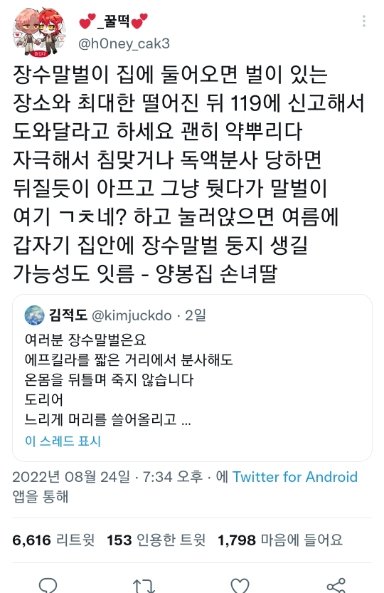 장수말벌 앞에서 아방수가 된 트위터리안 | 인스티즈