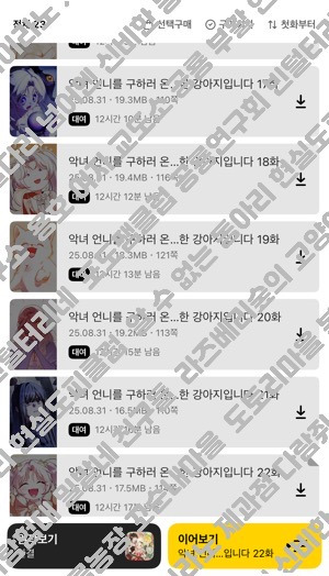 언니, 나 사람됐다 짱이지… 강아지별에서 돌아왔어 | 인스티즈