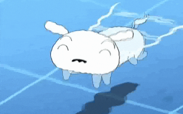 우리가 몰랐던 식인어 피라냐의 진실 | 인스티즈