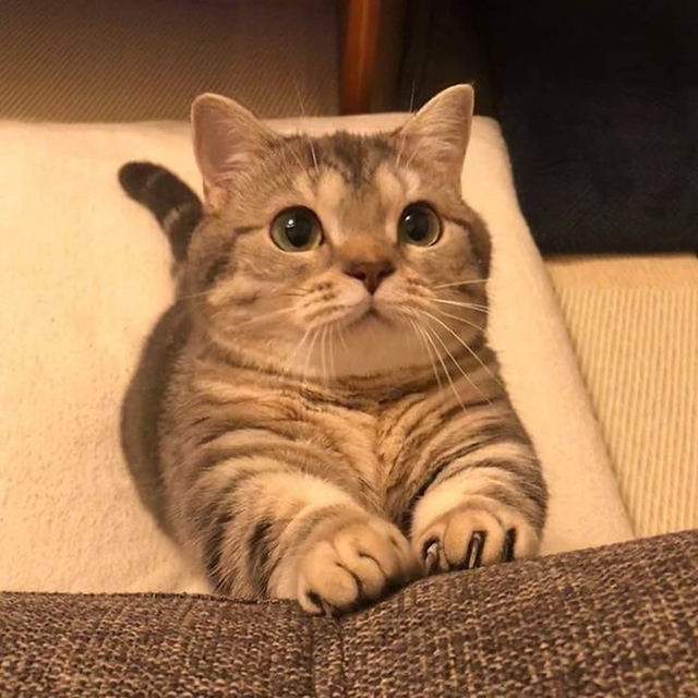 요정 : 여기서 혼자 한달간 숙박하면 5억 지급 | 인스티즈