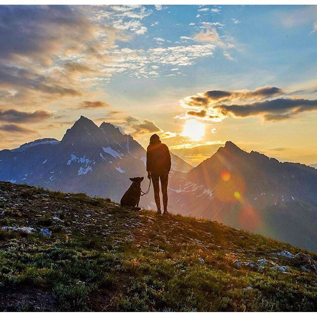 요정 : 여기서 혼자 한달간 숙박하면 5억 지급 | 인스티즈