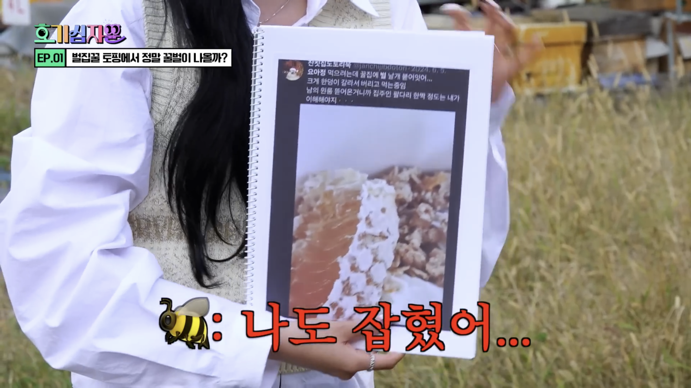 요거트 아이스크림 벌집꿀에서 나오는 벌의 정체............jpg | 인스티즈