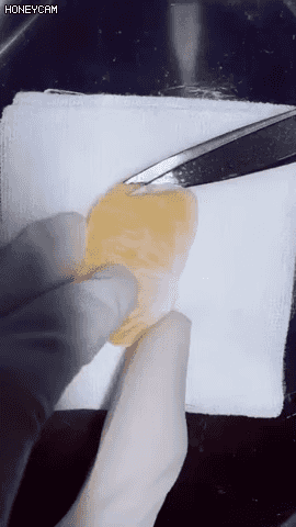 의사들이 수술 연습하는 방법.gif | 인스티즈