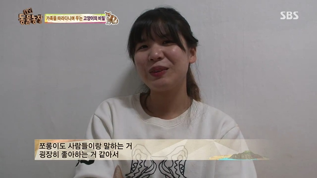 [동물농장] 존트 할말 다 하고 사는 수다쟁이 고양이 쪼롱이ㅋㅋㅋㅋ.jpg (스압) | 인스티즈