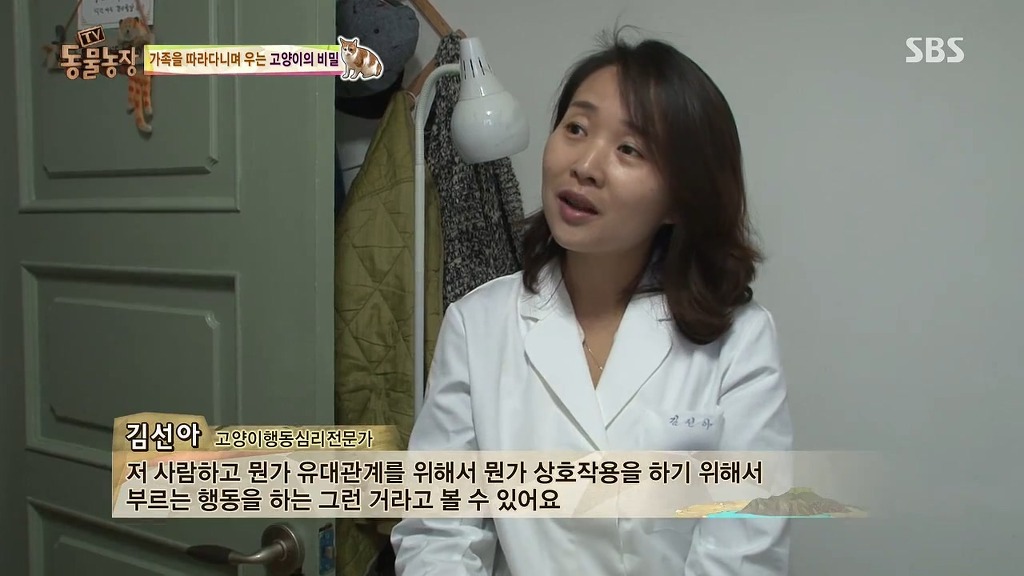 [동물농장] 존트 할말 다 하고 사는 수다쟁이 고양이 쪼롱이ㅋㅋㅋㅋ.jpg (스압) | 인스티즈