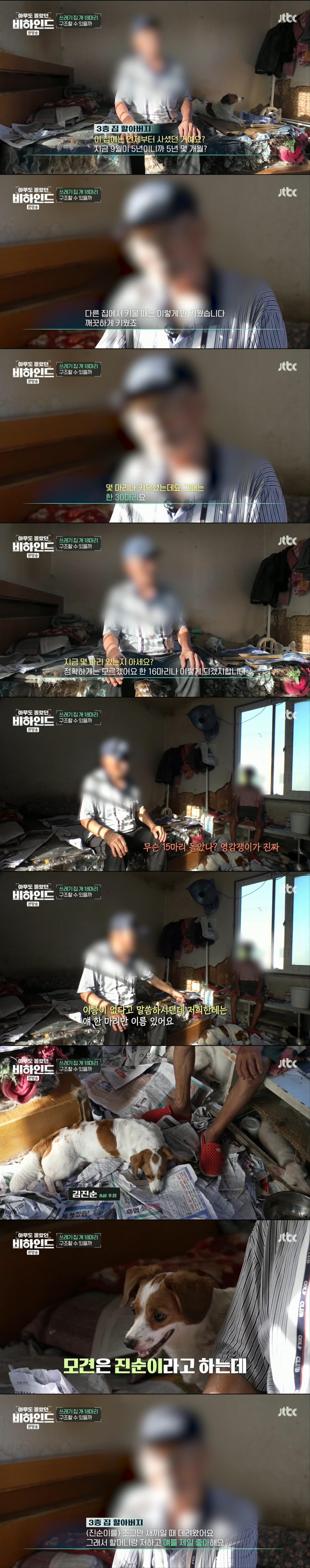 할머니와 할아버지와 함께 쓰레기집에서 살던 18마리의 강아지들 | 인스티즈