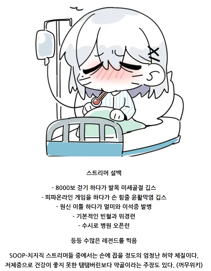 스트리머 약체 순위하면 1~2위를 다툰다는 분.JPG | 인스티즈