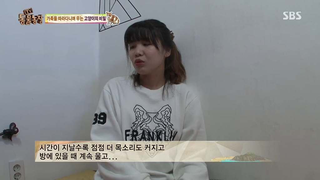 [동물농장] 존트 할말 다 하고 사는 수다쟁이 고양이 쪼롱이ㅋㅋㅋㅋ.jpg (스압) | 인스티즈