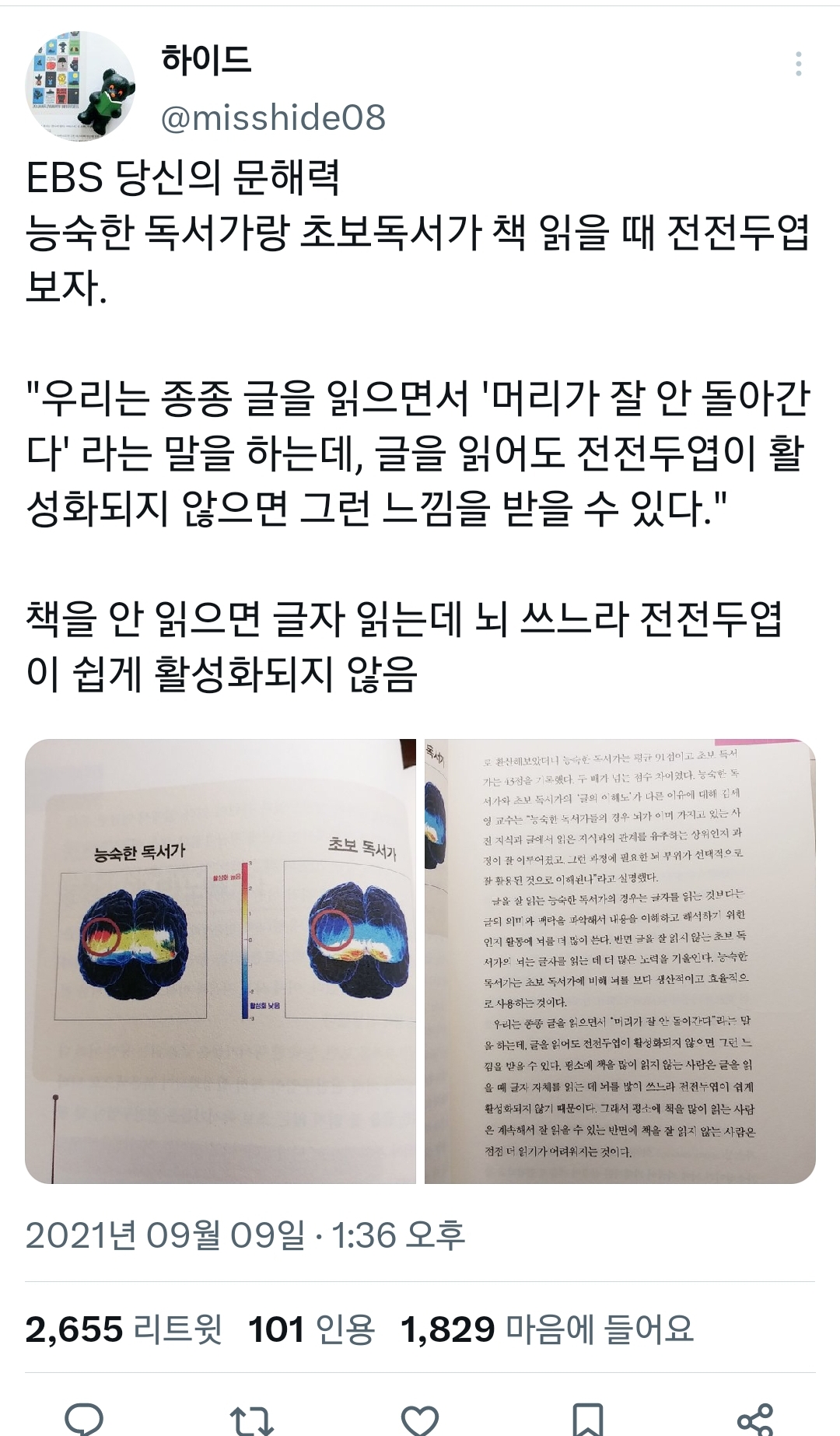 책 읽을 때 머리가 잘 안돌아가는 느낌의 정체.twt | 인스티즈