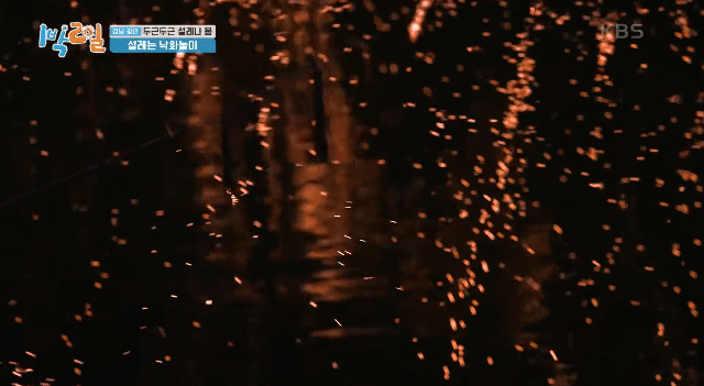 한국 전통 불꽃놀이, 낙화놀이 근황 | 인스티즈