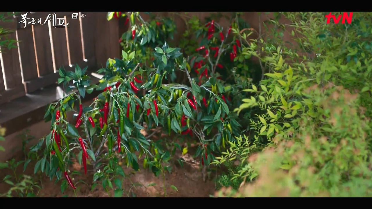 [폭군의셰프] 조선시대 왕의 "오다 주웠다" 시전.jpg | 인스티즈