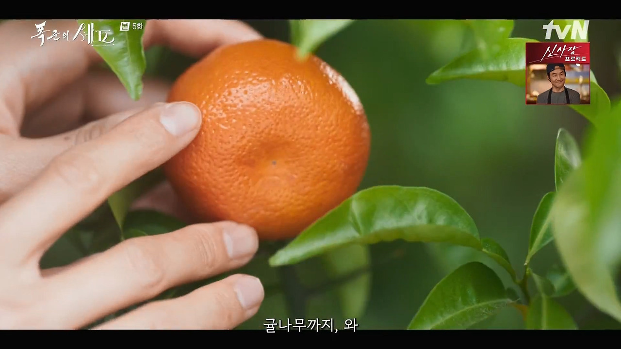 [폭군의셰프] 조선시대 왕의 "오다 주웠다" 시전.jpg | 인스티즈