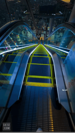 도쿄 시부야에 있다는 에스컬레이터 | 인스티즈